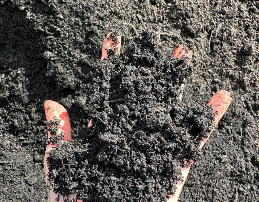 compost