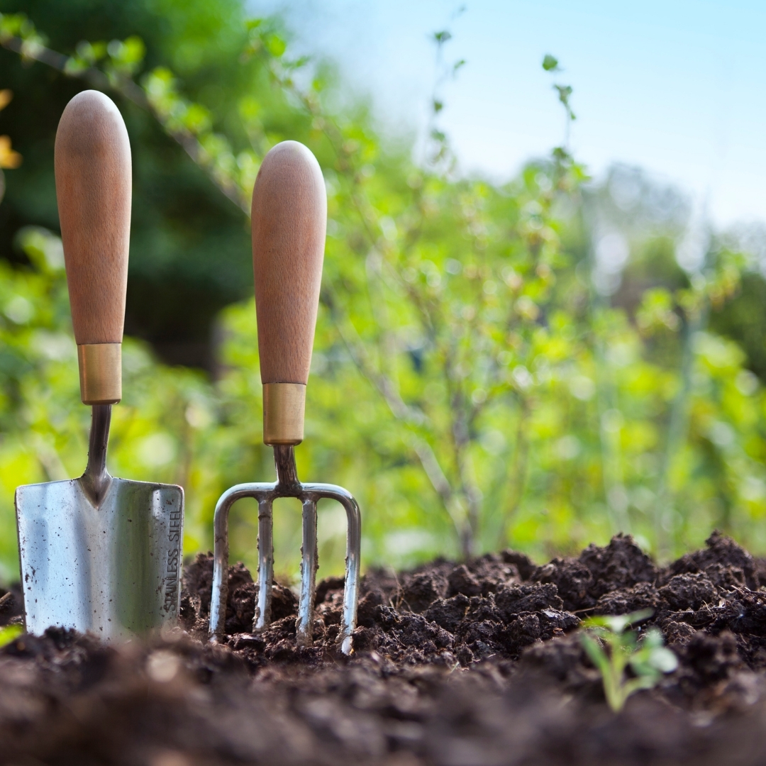 Avoid These Fall Gardening Mistakes in Massachusetts