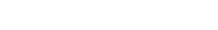 logo champlain stone
