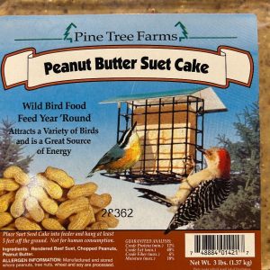 Peanut Butter Suet Cake