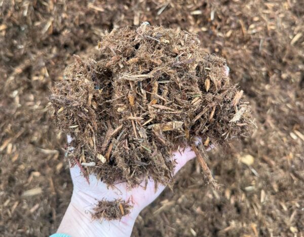 Cedar Mulch