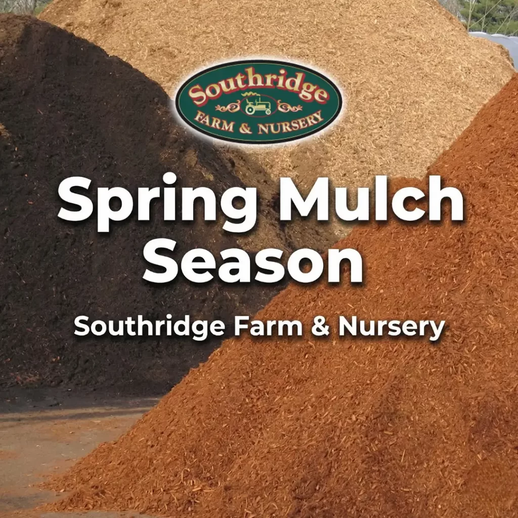 spring mulch season everything you need for a beautiful yard